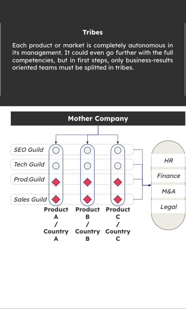 tribe organisational model